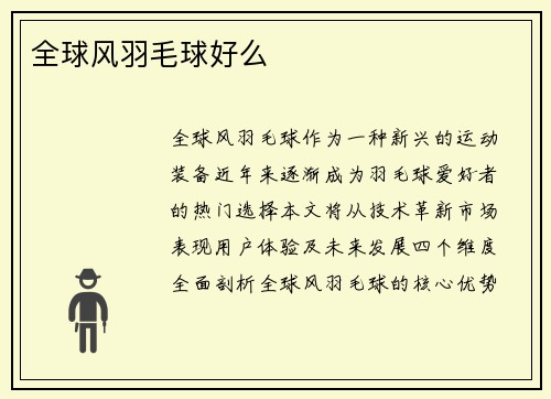 全球风羽毛球好么