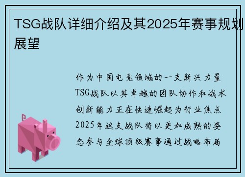 TSG战队详细介绍及其2025年赛事规划展望